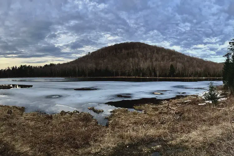 Vermont Institute of Celtic Arts