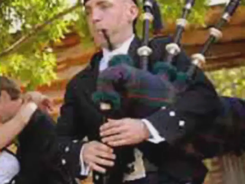 matt willis