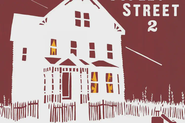 'Copley Street 2' a joy to listen to - Irish Echo