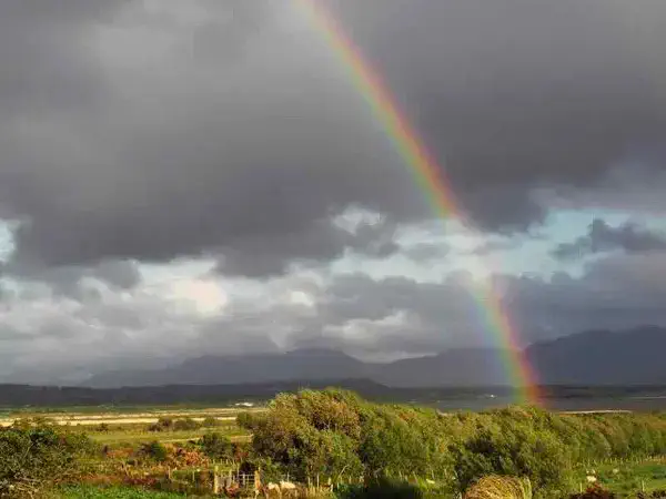 Rainbow