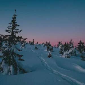 january
