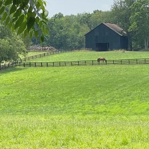 Fayette County