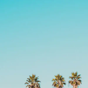 los angeles county