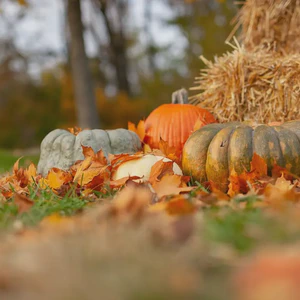 october