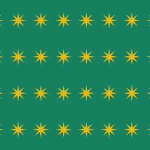 Fenian Rising begins in Co. Dublin, Cork, Limerick, Clare and Tipperary