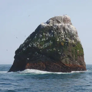 The uninhabited island of Rockall, in the Atlantic from the Western Isles, incorporated as part of Scotland