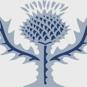 The first volume of Encyclopedia Britannica was published in Edinburgh