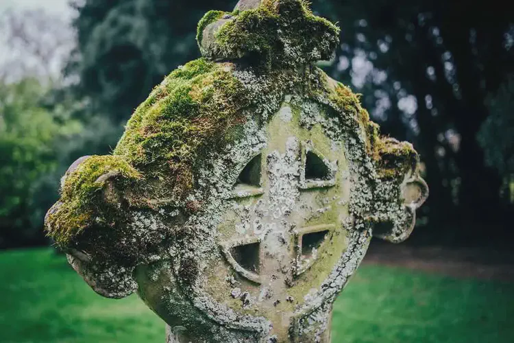Charles O'Conor, antiquary and historian, is born in Belanagare, Co. Roscommon
