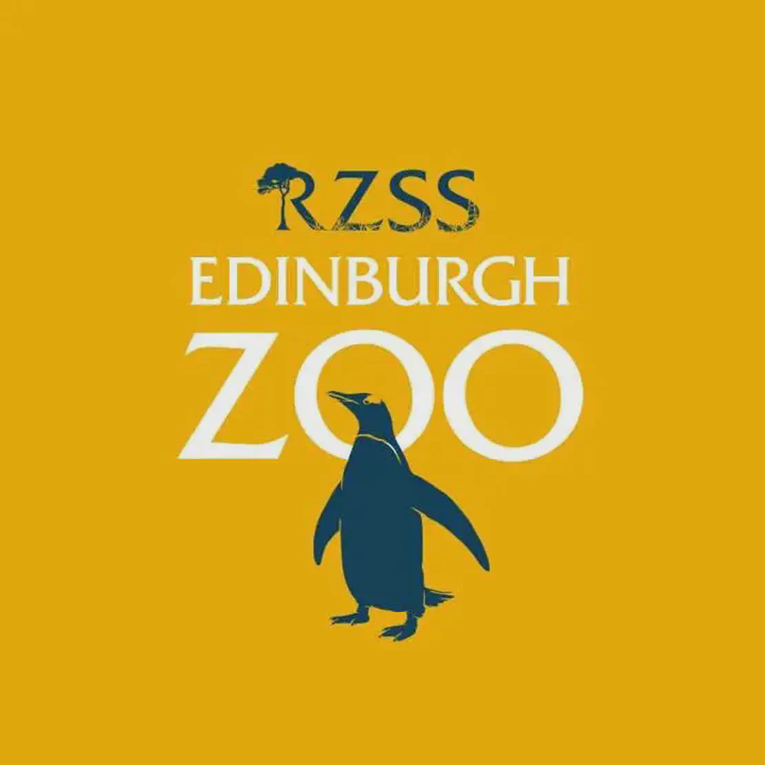 Edinburgh Zoo opened