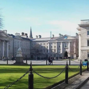 The Irish Convention