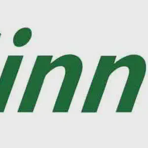 Sinn Féin takes control of most borough and urban councils in local elections