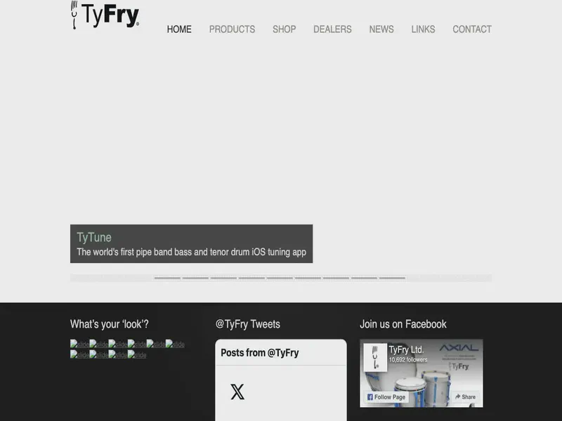 Website preview for www.tyfry.com